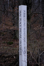 Beside a street in the forrest in Lux