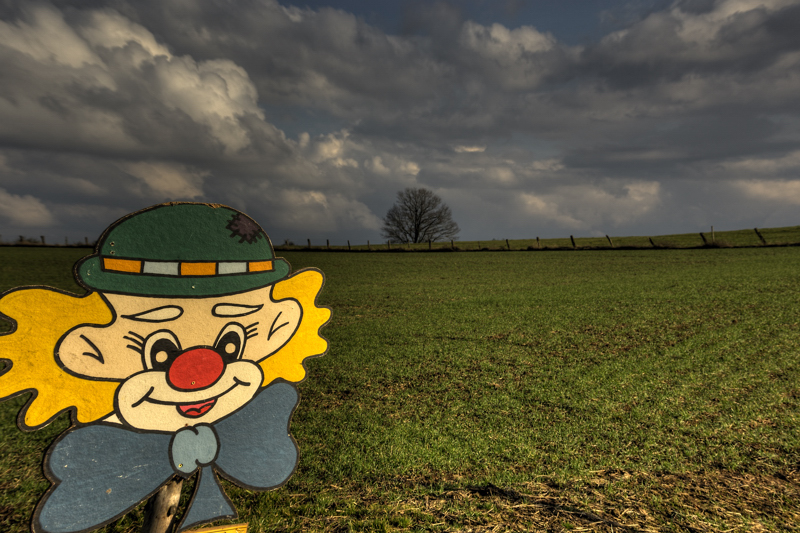 Clown in field Nusbaum