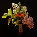 Vaas Bloemen